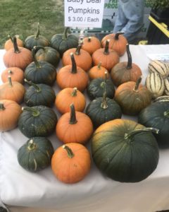 green and orange pumpkins | Hillyard Farmer's Market